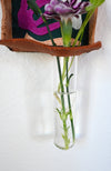 Plant Propagation Altar - Handmade Leather & Mixed Media Wall Art